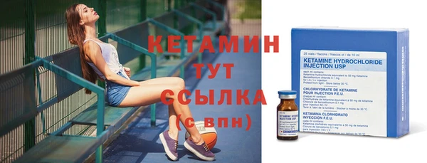 шишки Арсеньев