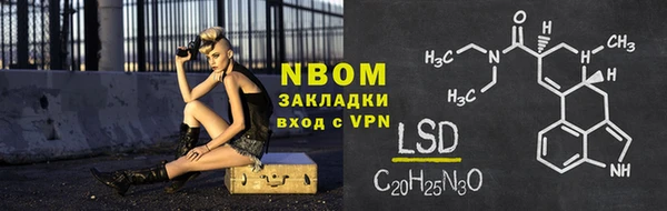 шишки Арсеньев
