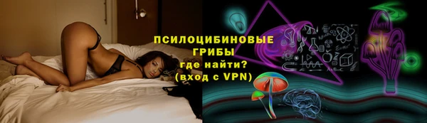 шишки Арсеньев