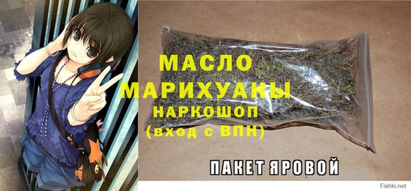 шишки Арсеньев