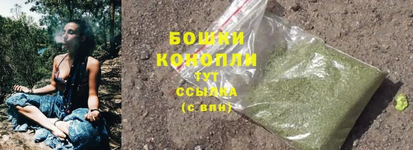 ПСИЛОЦИБИНОВЫЕ ГРИБЫ Аркадак