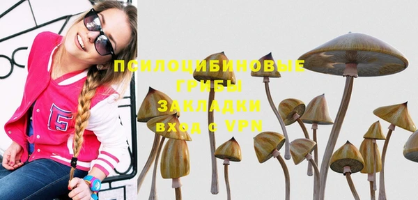 ПСИЛОЦИБИНОВЫЕ ГРИБЫ Аркадак